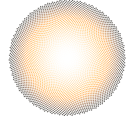 sunflower phyllotaxis